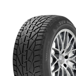 195/65 R15 91H Snow Riken